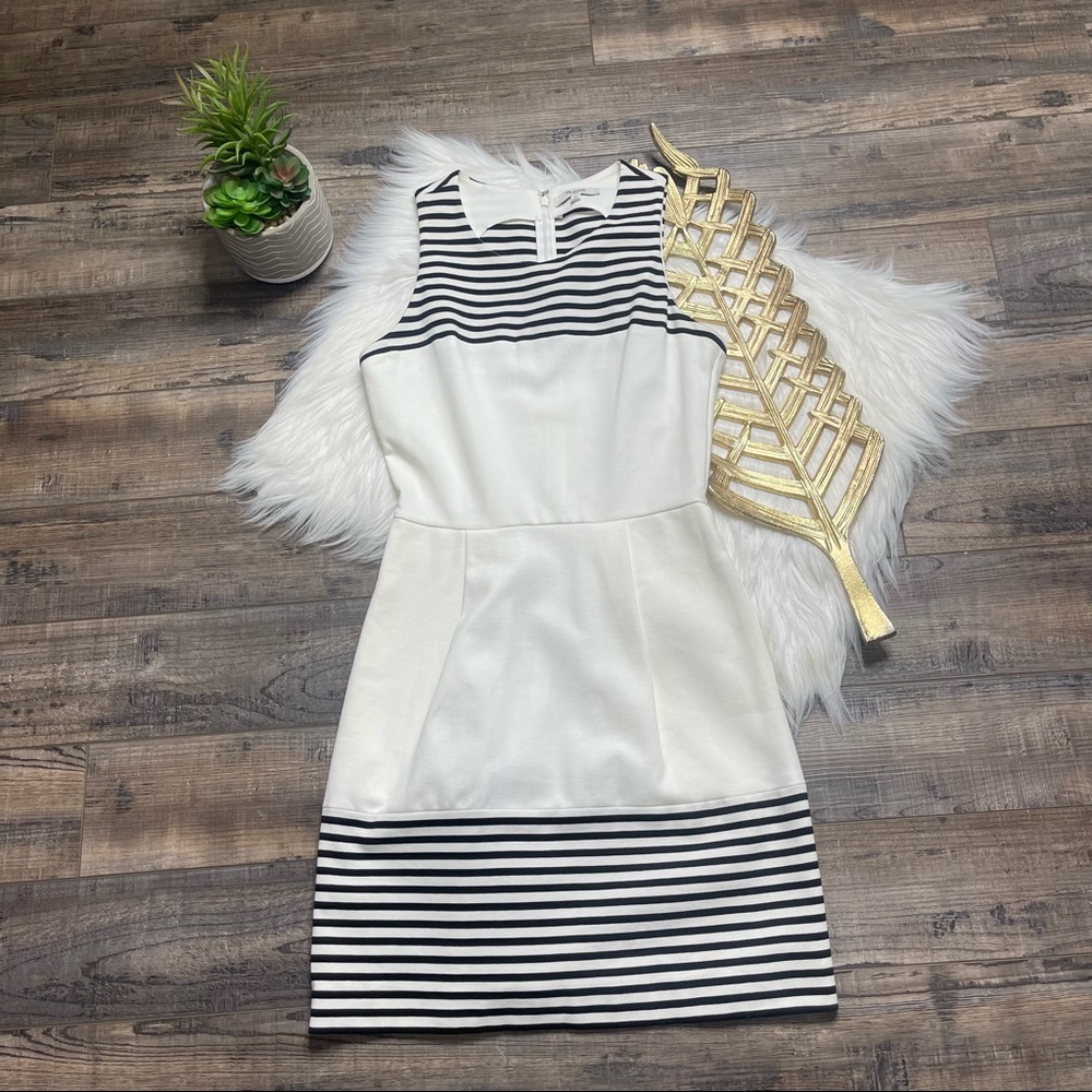 Madewell White Black Stripe Ponte Pleated Flare Dress